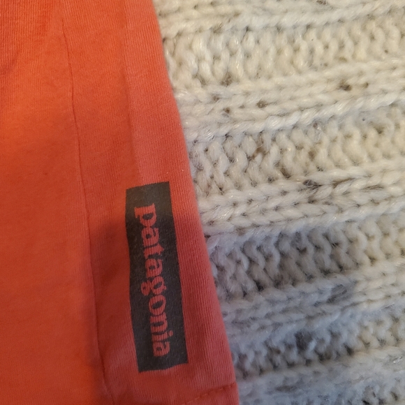 Patqgonia orange ss tshirt. Excellent condition. Kids large. Fits woman xs - Picture 3 of 4